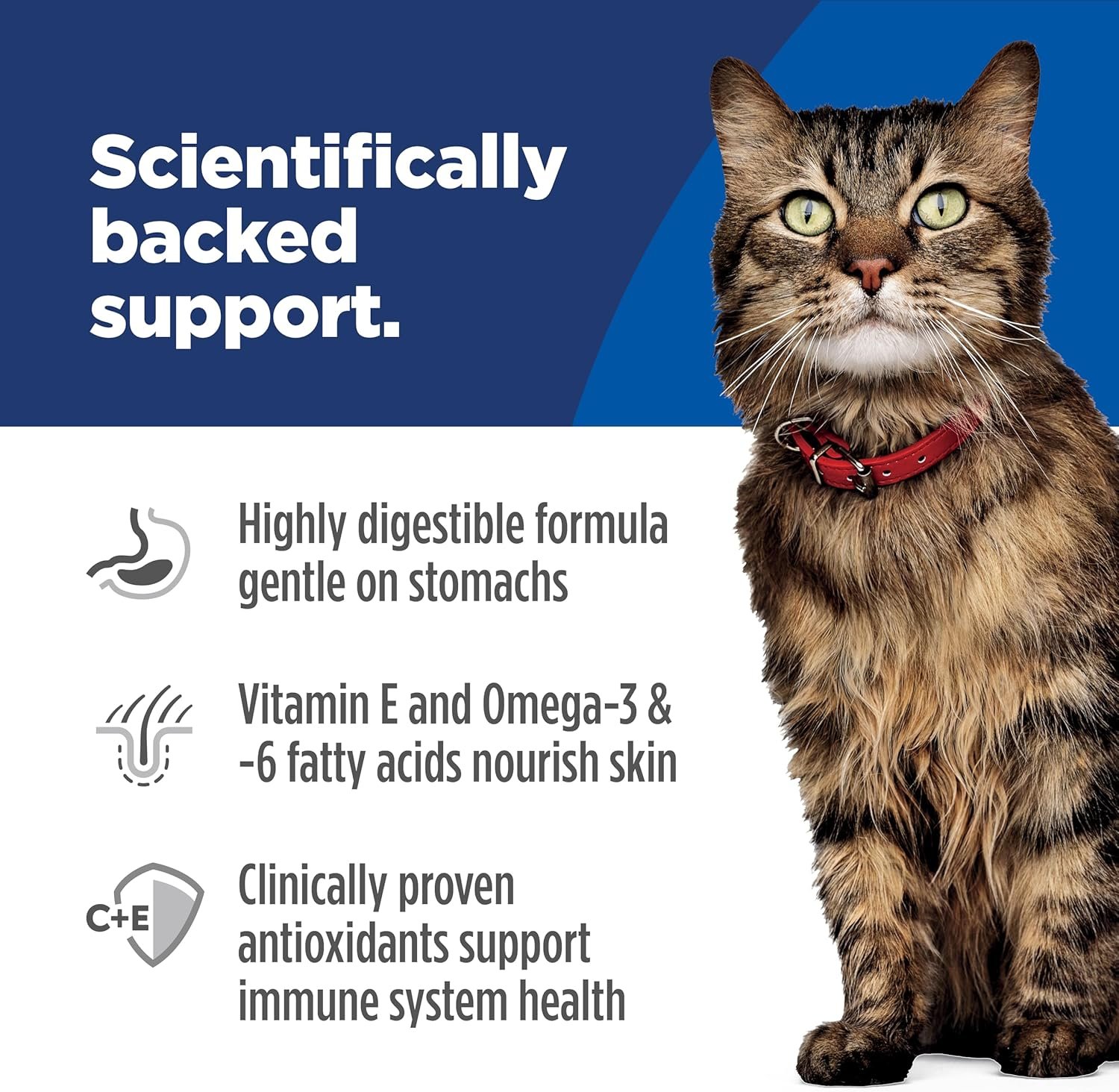 hill's science diet adult sensitive stomach & skin dry cat food, chicken & rice, 7 lb. bag hill's science diet adult sensitive stomach & skin dry cat food, chicken & rice, 7 lb. bag