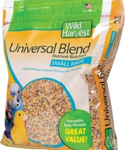 kaytee essentials blend with black oil sunflower, cracked corn and millet, wild bird food seed for cardinals, jays, finches, chickadees, nuthatches, woodpeckers, grosbeaks, juncos, 9.5 pounds