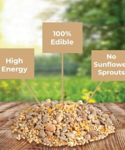 wagner's 57075 safflower seed wild bird food, 5 pound