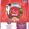 purina one plus healthy puppy formula high protein natural dry puppy food with added vitamins, minerals and nutrients