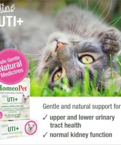 nordic naturals omega 3 cat, unflavored 2 oz 304 mg omega 3 per one ml fish oil for cats with epa & dha promotes heart, skin, coat, & immune health non gmo