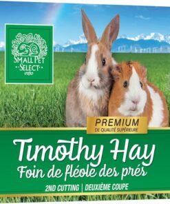 kaytee fiesta rabbit food, nutritious and fun blend, supports dental health and digestion, 3.5 pounds
