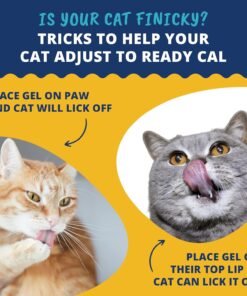 nordic naturals omega 3 cat, unflavored 2 oz 304 mg omega 3 per one ml fish oil for cats with epa & dha promotes heart, skin, coat, & immune health non gmo