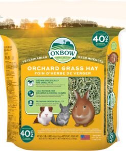 kaytee fiesta rabbit food, nutritious and fun blend, supports dental health and digestion, 3.5 pounds