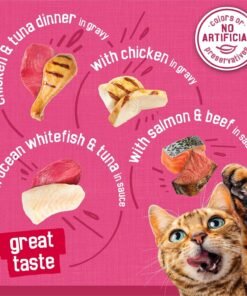 purina friskies gravy wet cat food variety pack, surfin’ and turfin’ prime filets favorites (pack of 40) 5.5 oz. cans