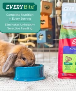 kaytee fiesta rabbit food, nutritious and fun blend, supports dental health and digestion, 3.5 pounds