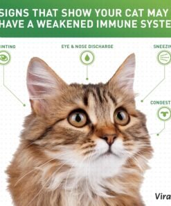 nordic naturals omega 3 cat, unflavored 2 oz 304 mg omega 3 per one ml fish oil for cats with epa & dha promotes heart, skin, coat, & immune health non gmo nordic naturals omega 3 cat, unflavored 2 oz 304 mg omega 3 per one ml fish oil for cats with epa & dha promotes heart, skin, coat, & immune health non gmo