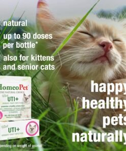 nordic naturals omega 3 cat, unflavored 2 oz 304 mg omega 3 per one ml fish oil for cats with epa & dha promotes heart, skin, coat, & immune health non gmo