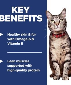 purina cat chow hairball, healthy weight, indoor, natural dry cat food, naturals indoor