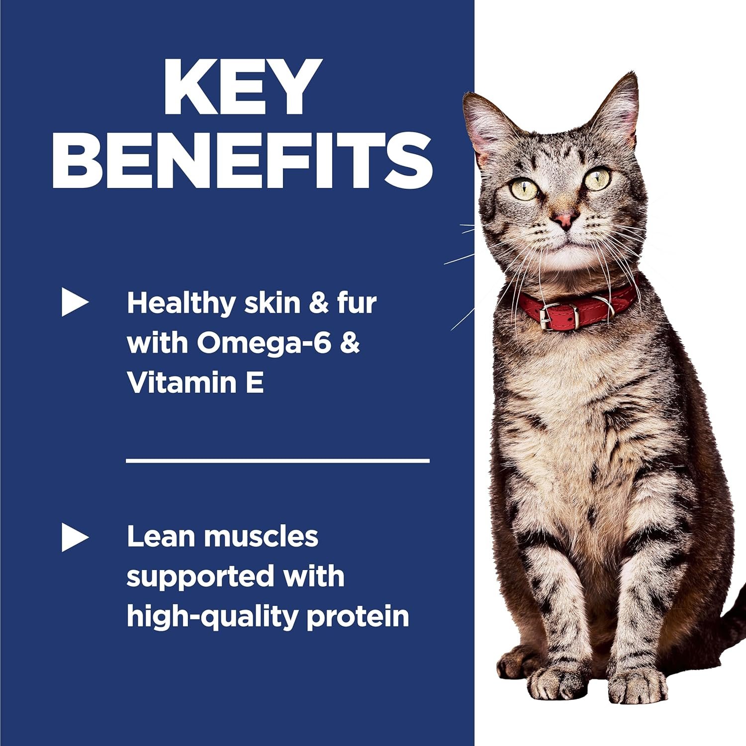 purina cat chow hairball, healthy weight, indoor, natural dry cat food, naturals indoor purina cat chow hairball, healthy weight, indoor, natural dry cat food, naturals indoor