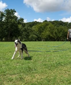 rabbitgoo dog harness no pull with 2 leash clips, adjustable soft padded, reflective oxford no choke pet vest with easy control handle for large dogs, black, l